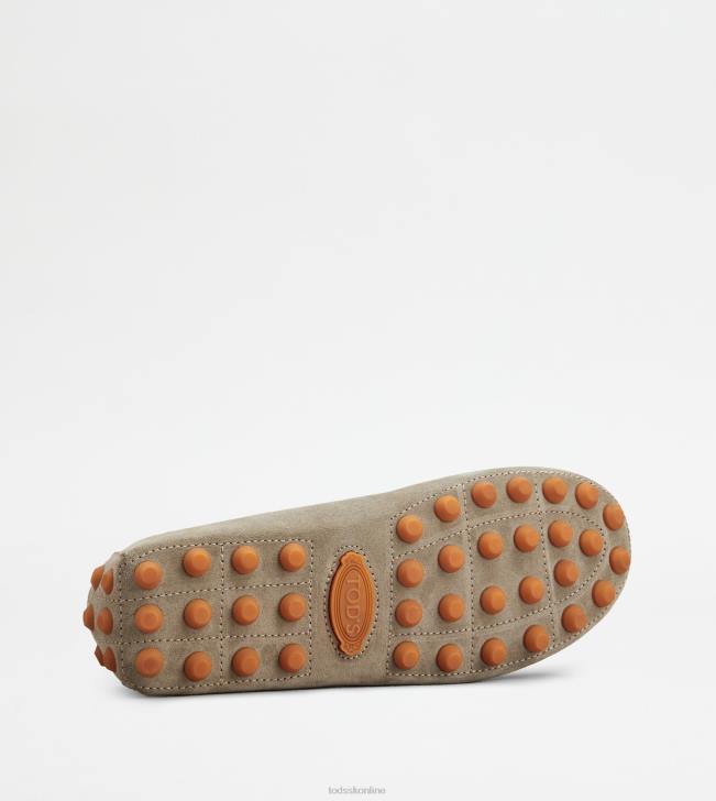 Tod\'s 8NXV710 béžová/oranžová muži gommino bublina v semišu