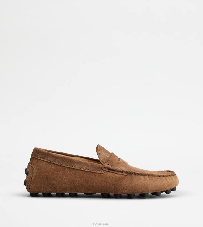 Tod's 8NXV713 hnedá/sivá muži gommino bublina v semišu