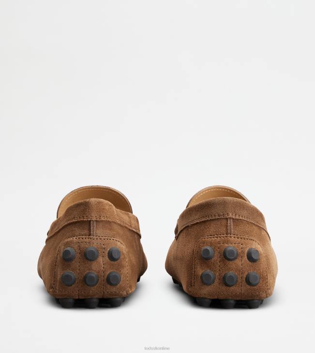 Tod\'s 8NXV713 hnedá/sivá muži gommino bublina v semišu