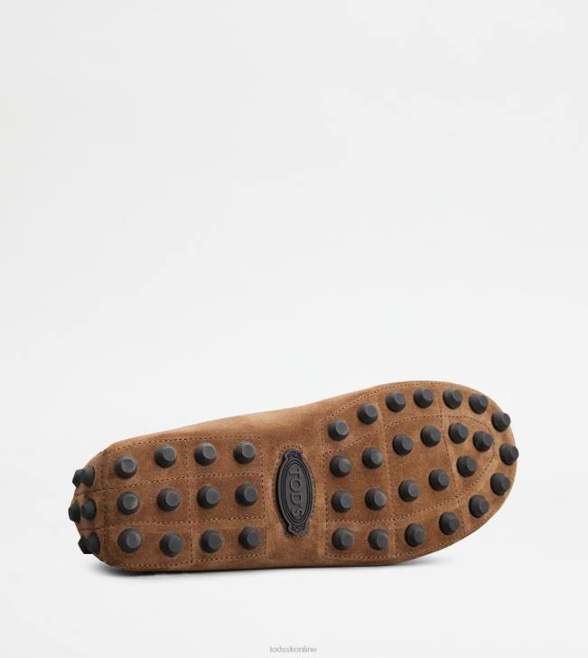 Tod\'s 8NXV713 hnedá/sivá muži gommino bublina v semišu