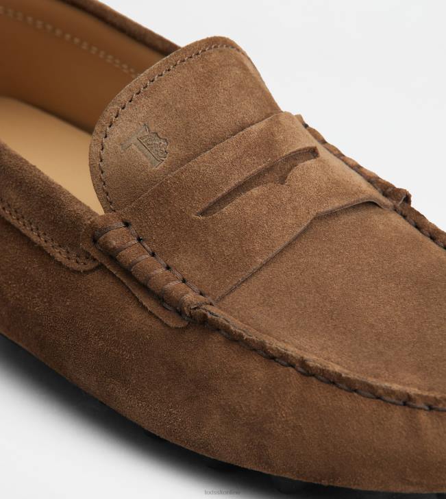 Tod\'s 8NXV713 hnedá/sivá muži gommino bublina v semišu