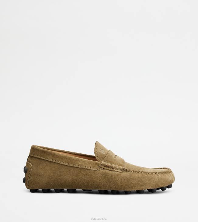 Tod's 8NXV716 zelená/šedá muži gommino bublina v semišu