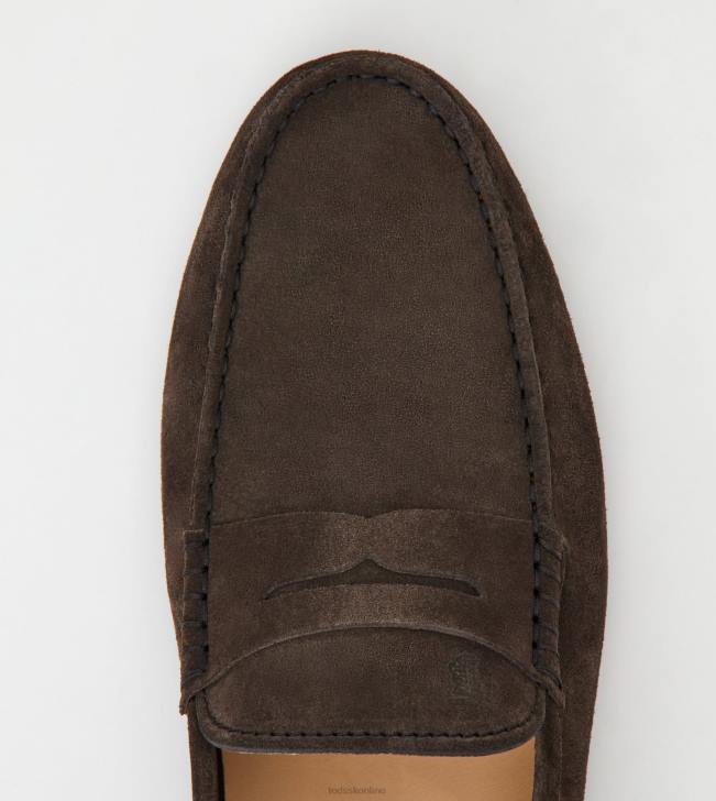 Tod\'s 8NXV734 hnedá muži gommino vodičské topánky zo semišu