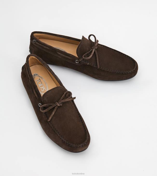 Tod\'s 8NXV760 hnedá muži mestské gommino vodičské topánky v semišovej úprave
