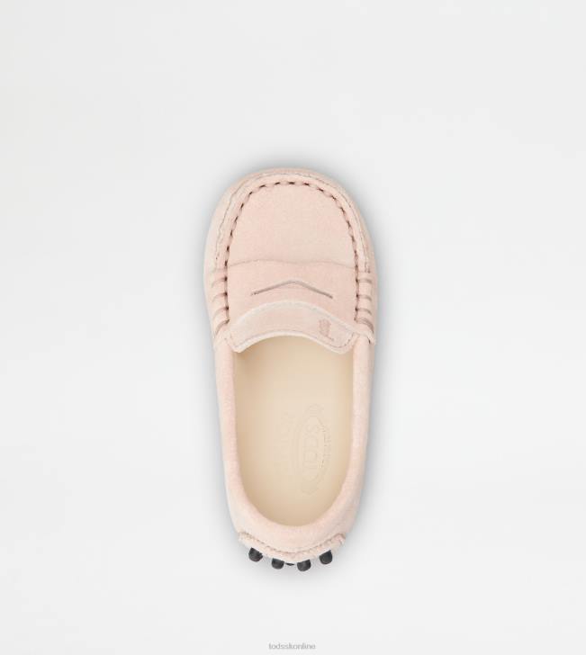 Tod\'s 8NXV628 Ružová ženy juniorské gommino vodičské topánky v semišovej úprave