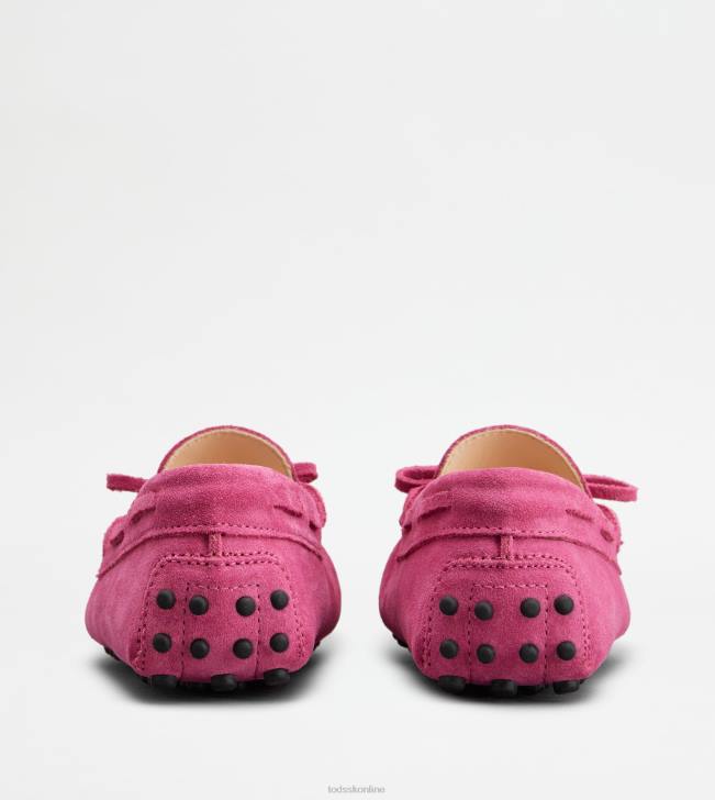 Tod\'s 8NXV637 Ružová ženy juniorské gommino vodičské topánky v semišovej úprave
