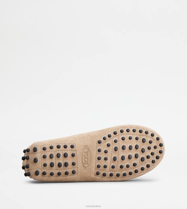 Tod\'s 8NXV639 hnedá ženy juniorské gommino vodičské topánky v semišovej úprave