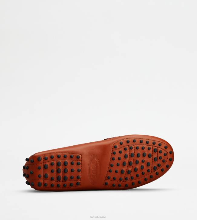 Tod\'s 8NXV101 hnedá ženy t nadčasové topánky gommino v koži