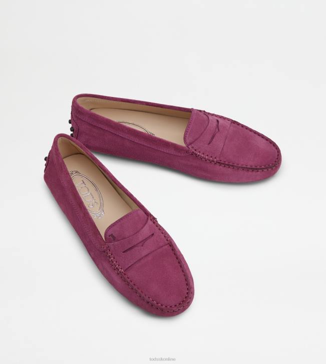 Tod\'s 8NXV102 fialový ženy gommino vodičské topánky zo semišu