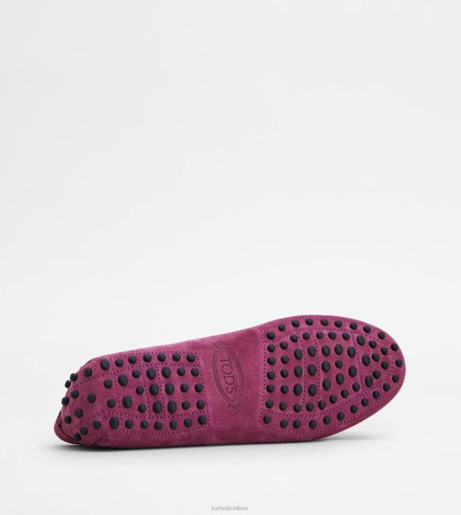 Tod\'s 8NXV102 fialový ženy gommino vodičské topánky zo semišu