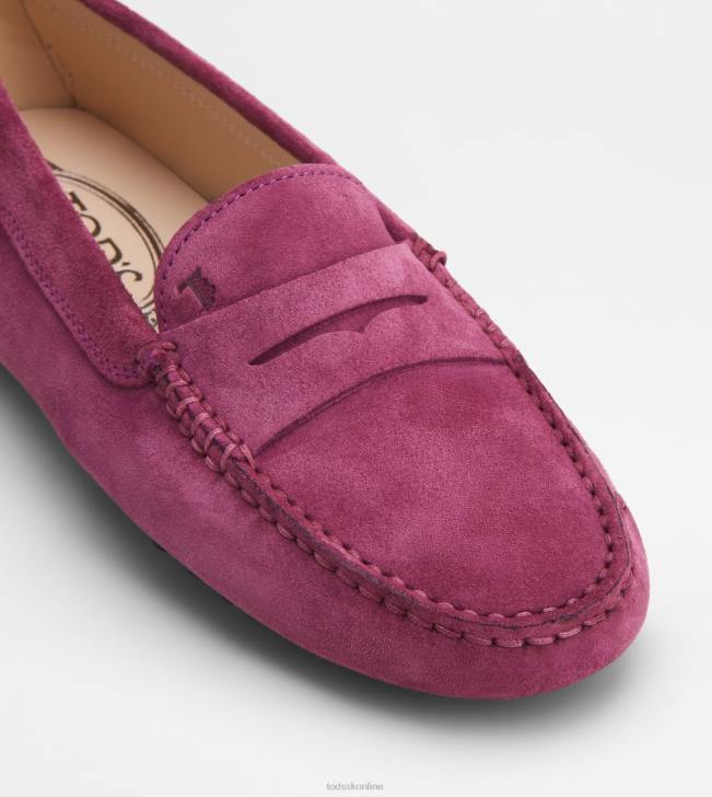 Tod\'s 8NXV102 fialový ženy gommino vodičské topánky zo semišu