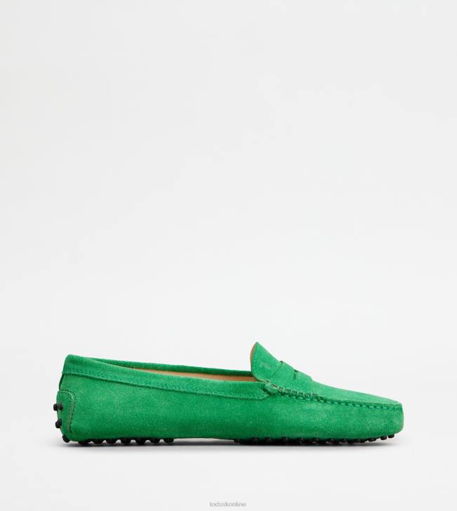 Tod's 8NXV103 zelená ženy gommino vodičské topánky zo semišu