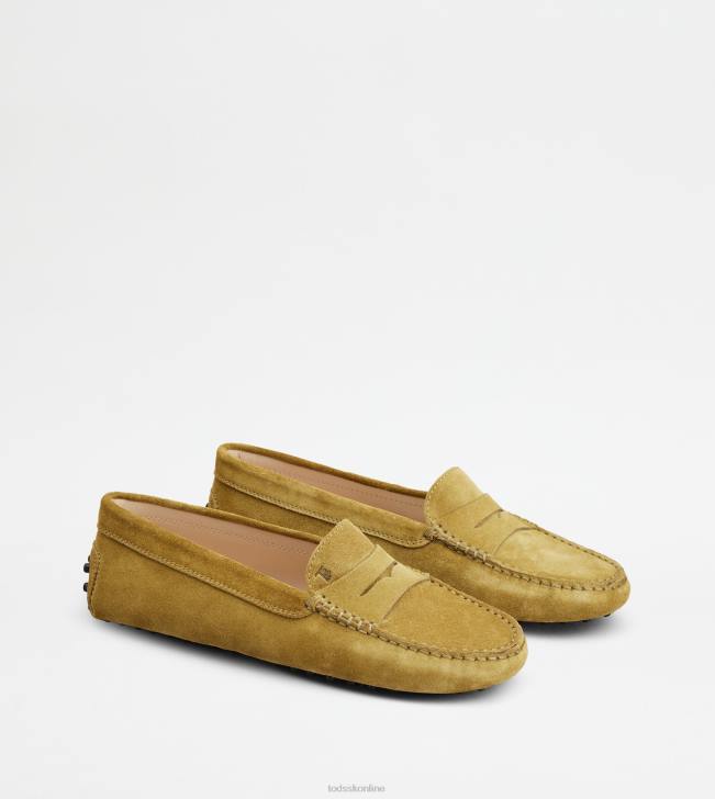 Tod\'s 8NXV107 zelená ženy gommino vodičské topánky zo semišu