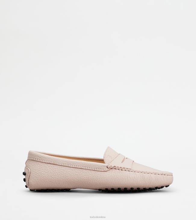 Tod's 8NXV110 Ružová ženy gommino vodičské topánky v koži