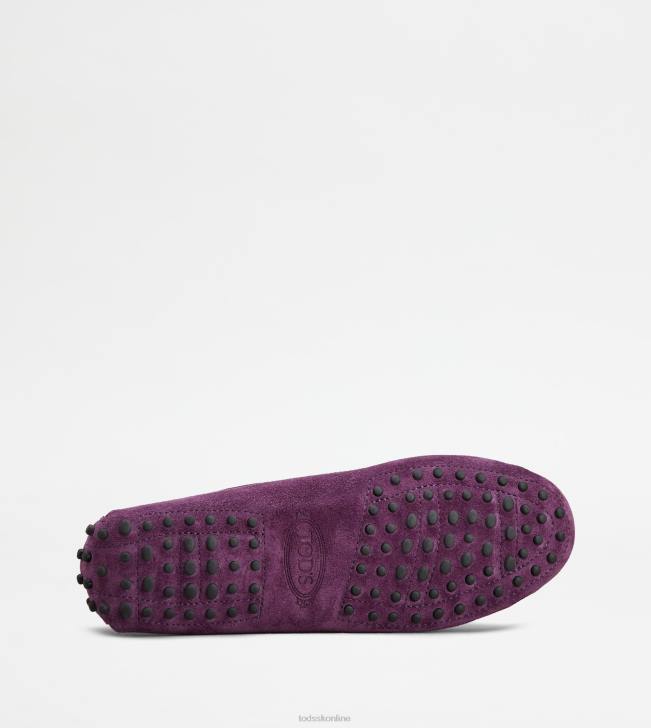 Tod\'s 8NXV112 fialový ženy gommino vodičské topánky zo semišu