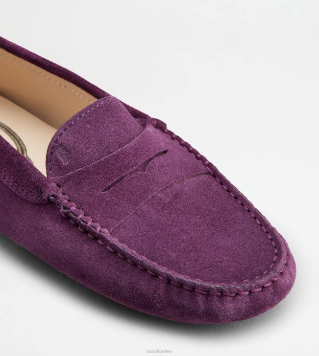 Tod\'s 8NXV112 fialový ženy gommino vodičské topánky zo semišu