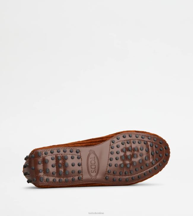 Tod\'s 8NXV80 hnedá ženy t nadčasové gommino topánky z kože a zamatu