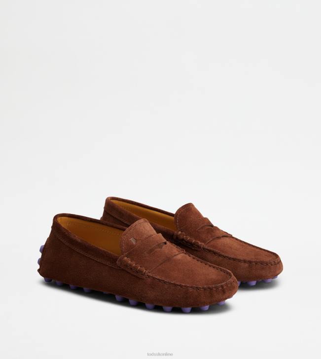 Tod\'s 8NXV85 hnedá/fialová ženy gommino bublina v semišu