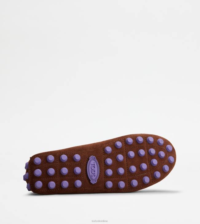 Tod\'s 8NXV85 hnedá/fialová ženy gommino bublina v semišu