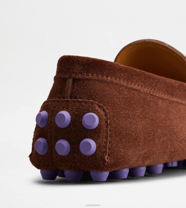 Tod\'s 8NXV85 hnedá/fialová ženy gommino bublina v semišu